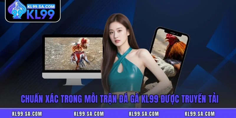 Chuẩn xác trong mỗi trận đá gà KL99 được truyền tải Chuẩn xác trong mỗi trận đá gà KL99 được truyền tải