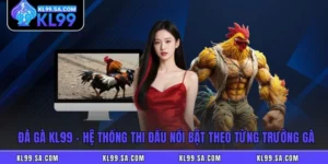 Đá Gà KL99 – Hệ Thống Thi Đấu Nổi Bật Theo Từng Trường Gà