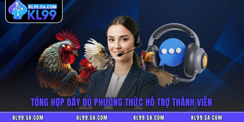 Tổng hợp đầy đủ phương thức hỗ trợ thành viên Tổng hợp đầy đủ phương thức hỗ trợ thành viên