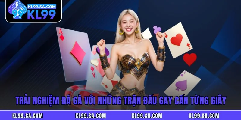 Trải nghiệm đá gà với những trận đấu gay cấn từng giây Trải nghiệm đá gà với những trận đấu gay cấn từng giây